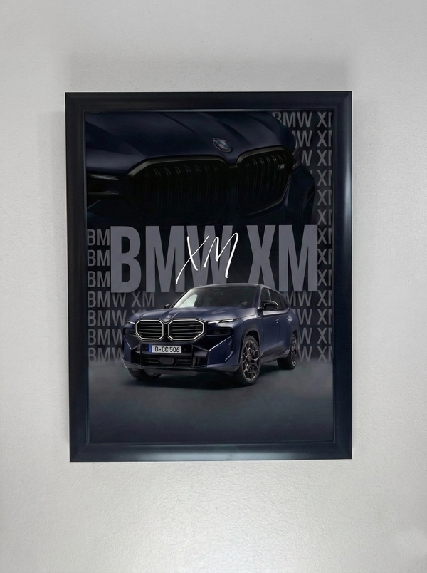Bmw Xm Frame
