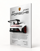 Porsche 911 GT3 RS Wall-Mounted 3D Display
