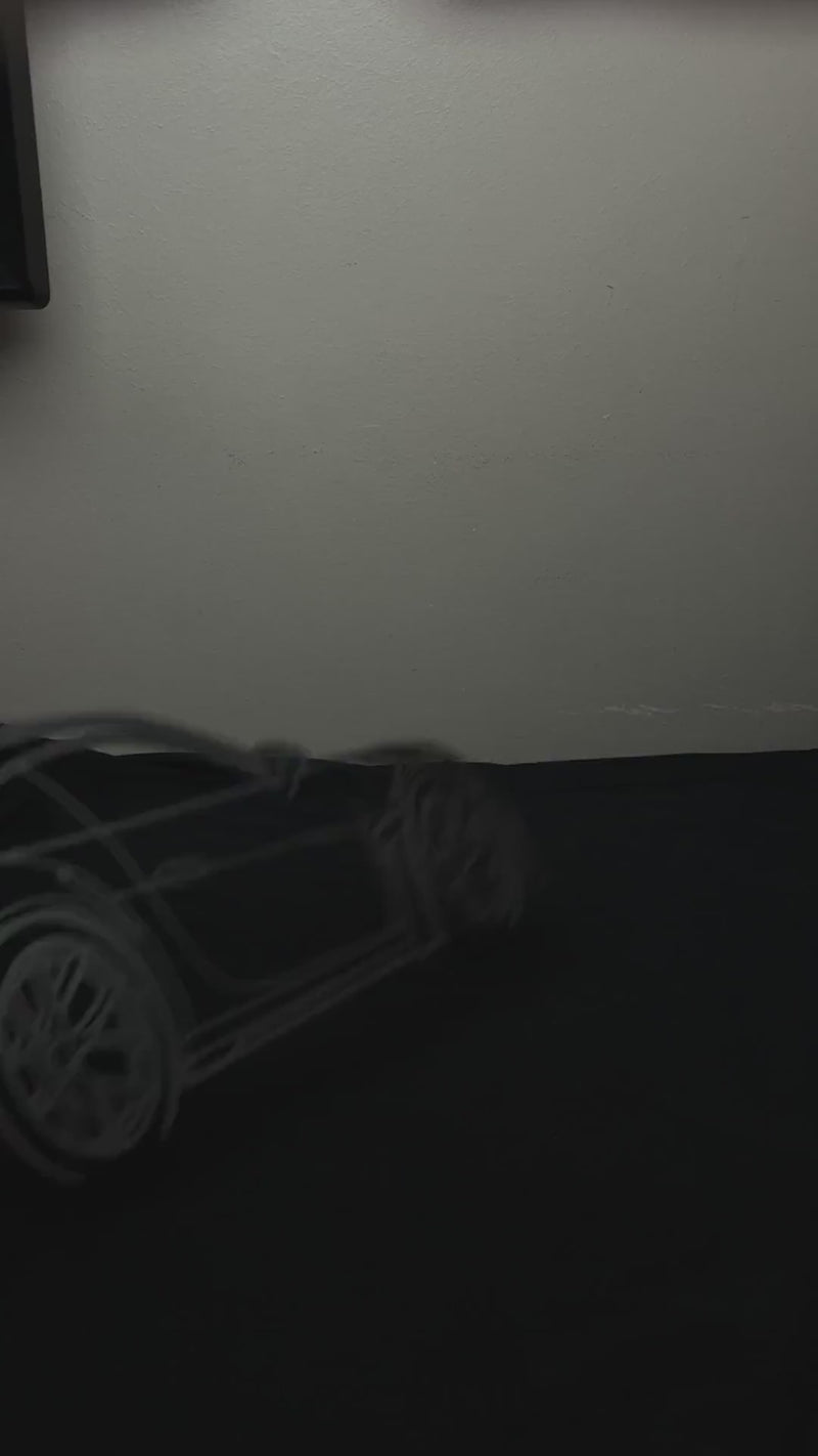Porsche 911 Gt3 RS Wall Art Back